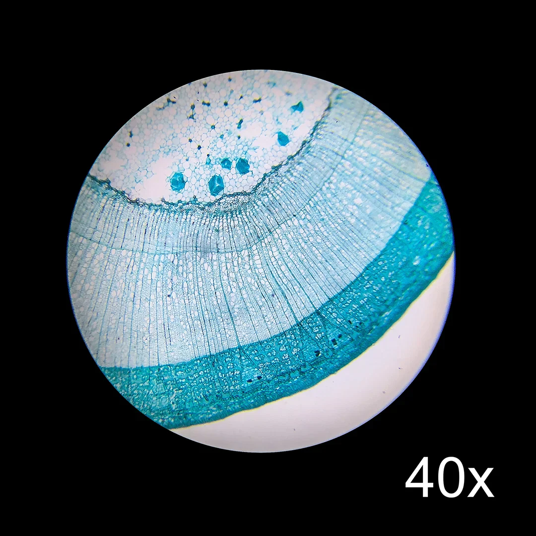 7x-45x Trinocular Stereo Zoom Microscope | AY13178 - Image 7
